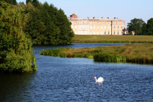 petworth_house_garden_original