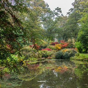 Exbury Gardens - Colours of a Japanese style garden in autumn.