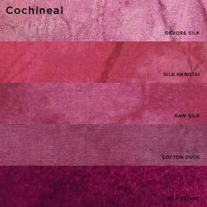 cochineal