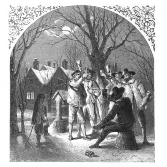 illustration of wassailing the apple trees