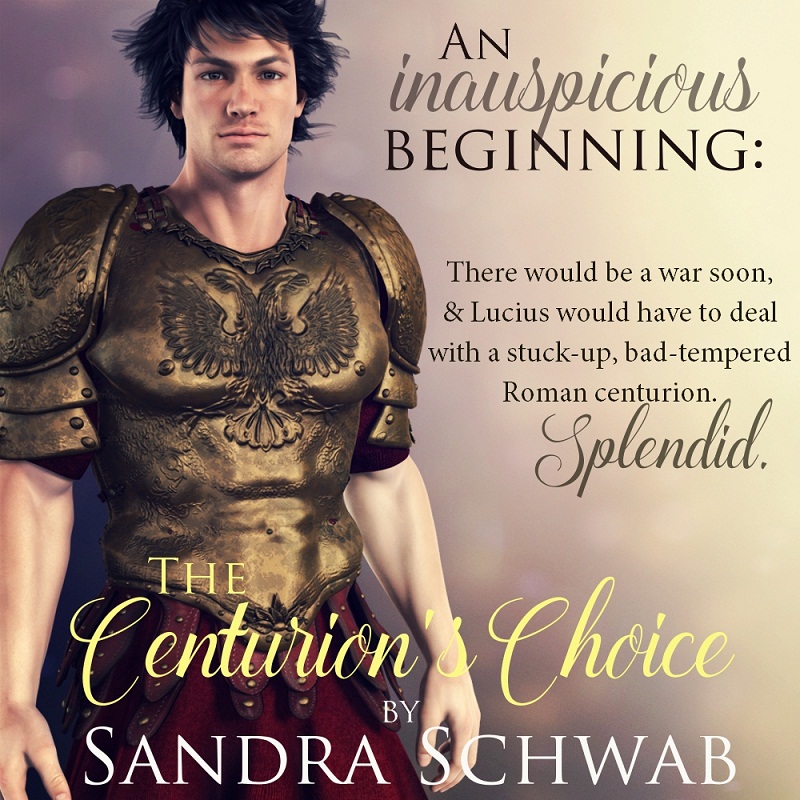 Teaser image for The Centurion's Choice by Sandra Schwab
