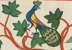 small image taken from a medieval manuscript shows orange vines with large leaf shapes, and among them a small figure of a peacock with crested head and distinctive broad tail featuring the "eye" decorated tail feathers.
